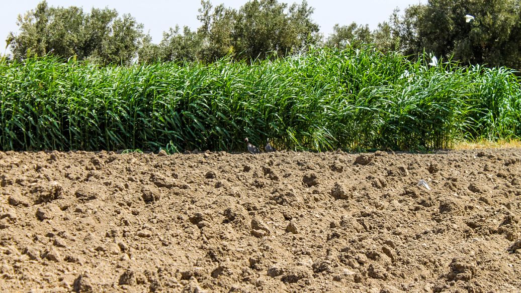 佛山市土壤检测都有什么指标?