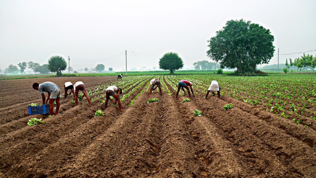 佛山土壤检测在哪里做?要检测哪些项目?