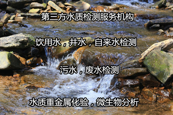 广州番禺自家井水检测 天然山泉水检测中心