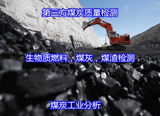 南海区污泥元素分析,煤炭检测多久出结果