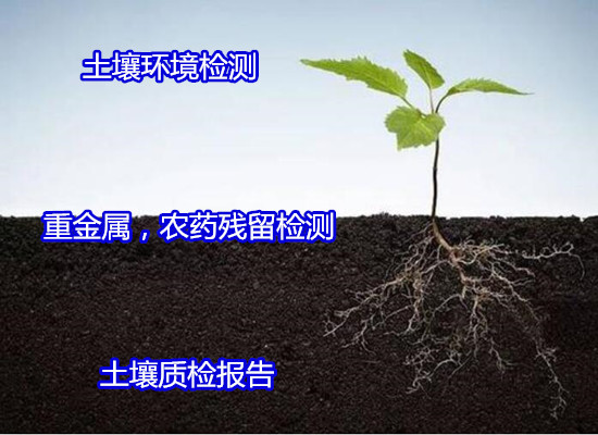 香港正版传真资料大全