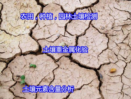 香港正版传真资料大全