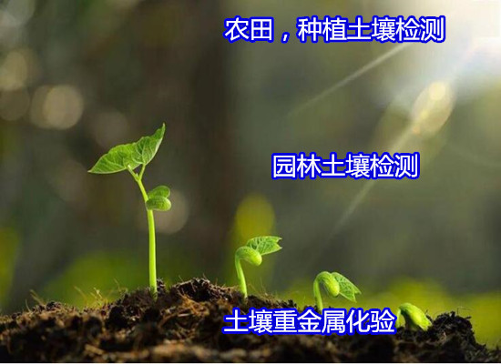 香港正版传真资料大全