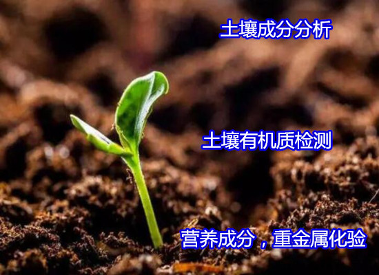 香港正版传真资料大全