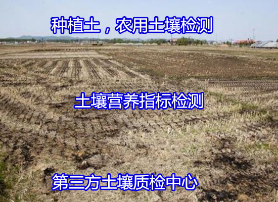 香港正版传真资料大全