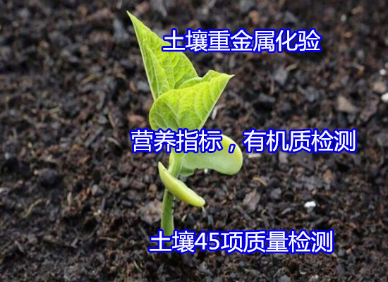 香港正版传真资料大全