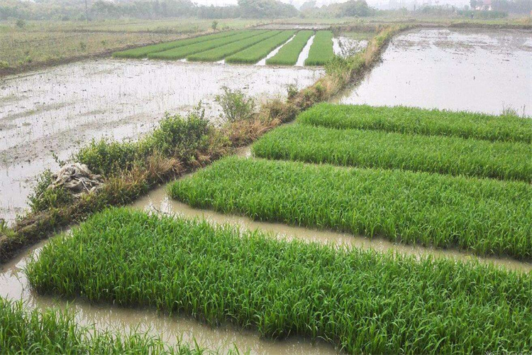 污泥检测去哪里做,污泥重金属检测机构