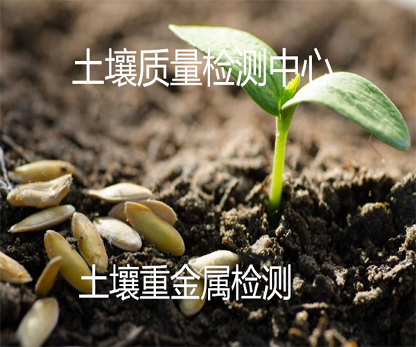 香港正版传真资料大全