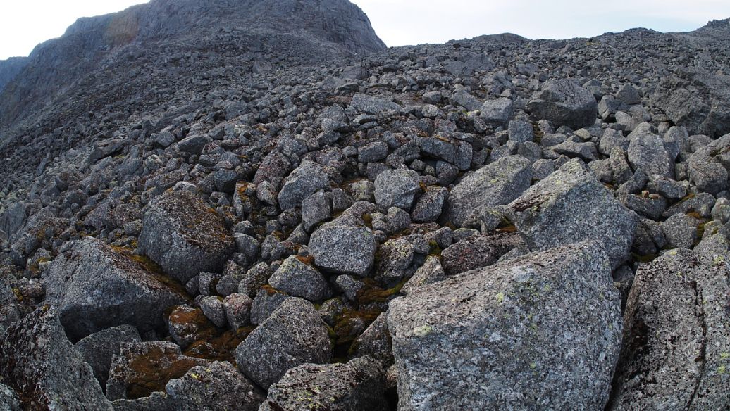 生态木粒工业分析,煤炭固定碳分析中心