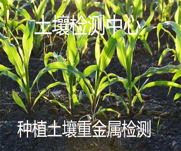 4.jpg 香港正版传真资料大全