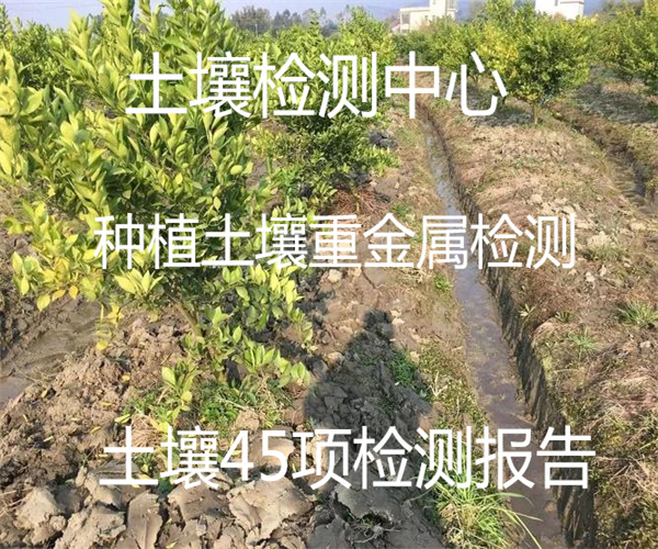 6.jpg 香港正版传真资料大全