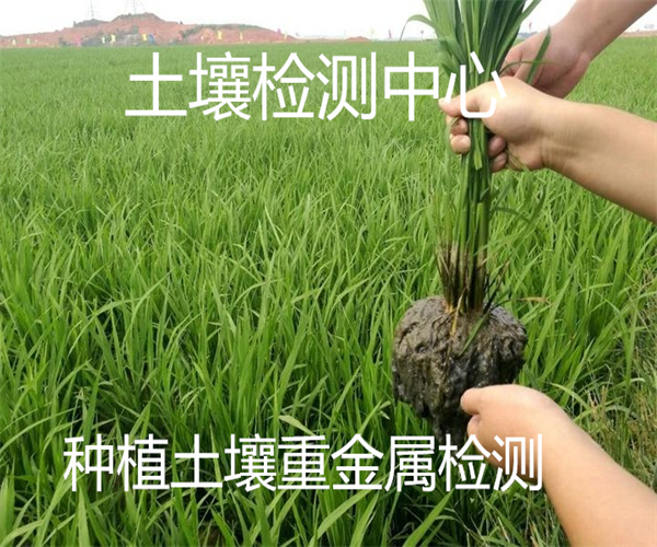 土壤检测 土壤八大重金属检测