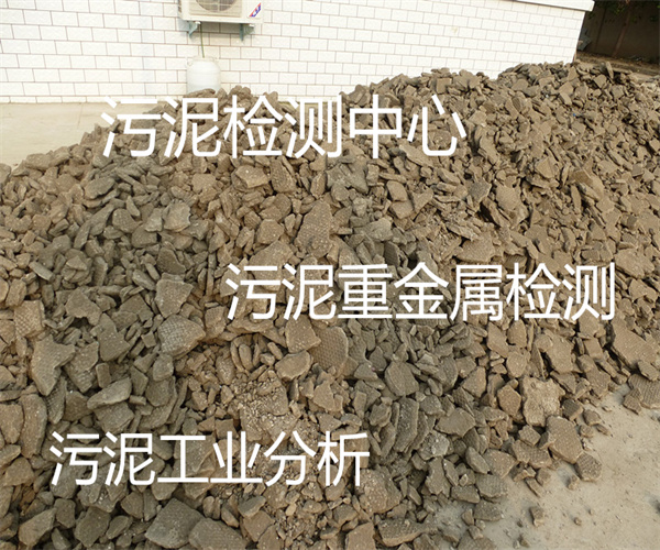 12.jpg 香港正版传真资料大全