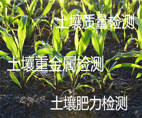 香港正版传真资料大全