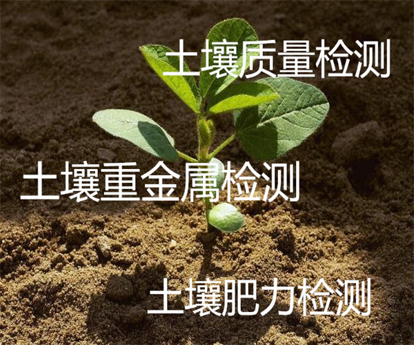 4.jpg 香港正版传真资料大全