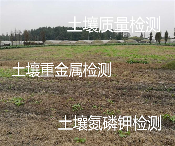 回填土壤质量检测 土壤环评45项检测