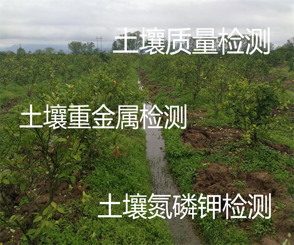 香港正版传真资料大全