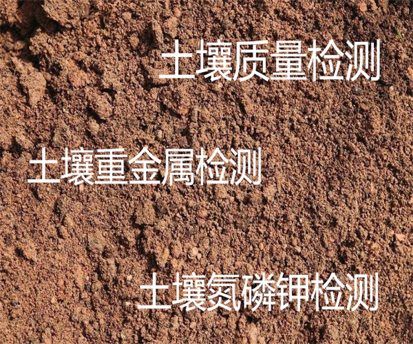 10.jpg 香港正版传真资料大全