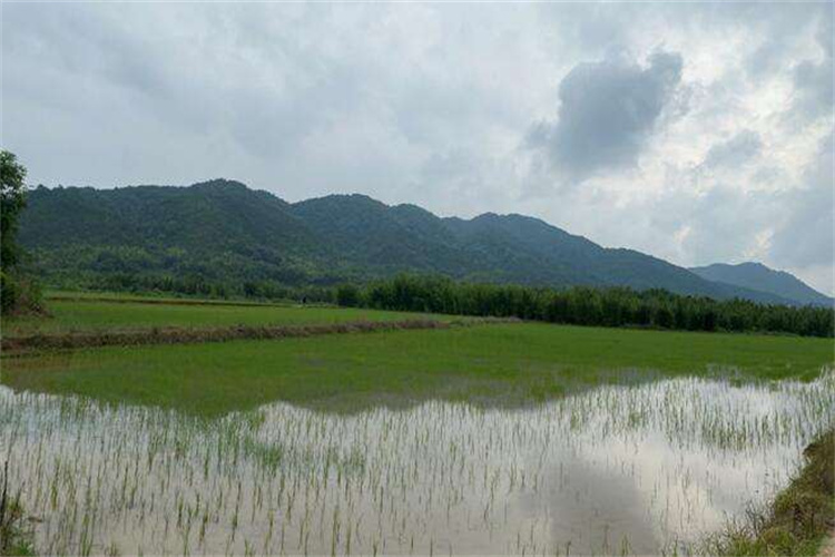 种植泥土成分分析,河道污泥检测机构