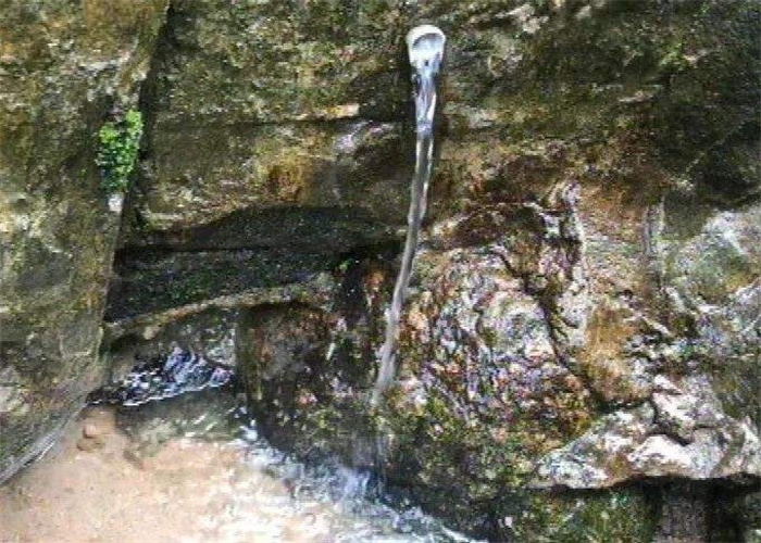 湛江市造成水污染的原因是什么？污水检测