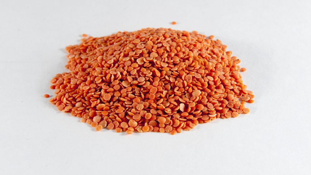 茂名塑料检测，塑料检测项目第三方机构