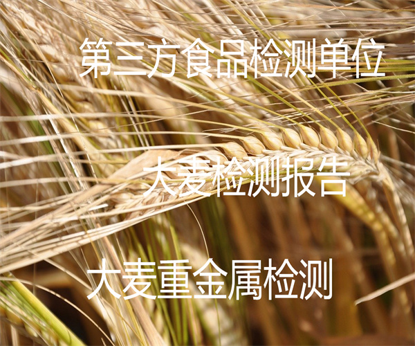 大麦叶酸检测 大麦粉重金属检测
