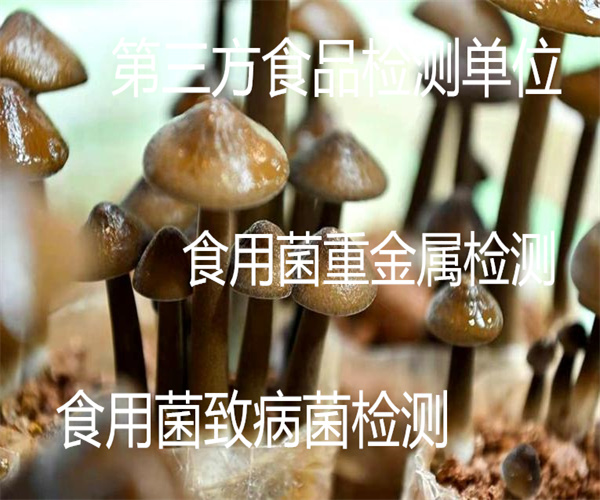 2.jpg 香港正版传真资料大全