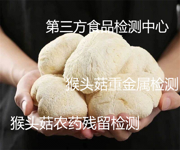 猴头菇营养成分检测 猴头菇含氮量检测