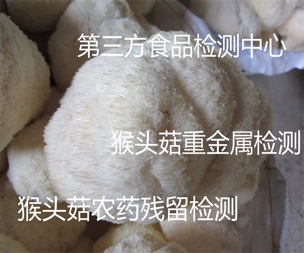 香港正版传真资料大全