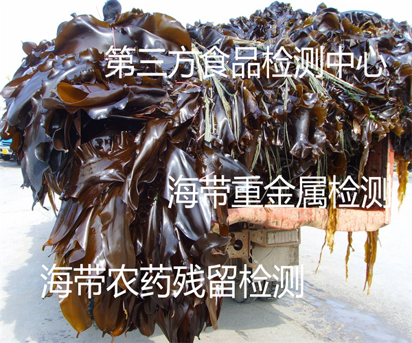 盐渍海带重金属检测 海带微生物检测