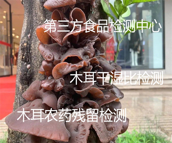 10.jpg 香港正版传真资料大全