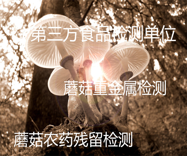 蘑菇检测哪里能做 鲜蘑菇重金属检测