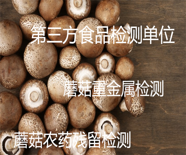 6.png 香港正版传真资料大全