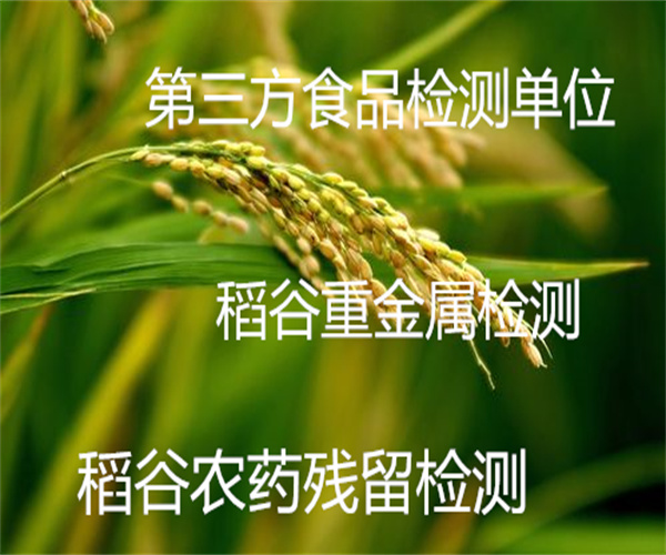 香港正版传真资料大全