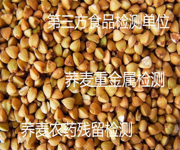 11.jpg 香港正版传真资料大全