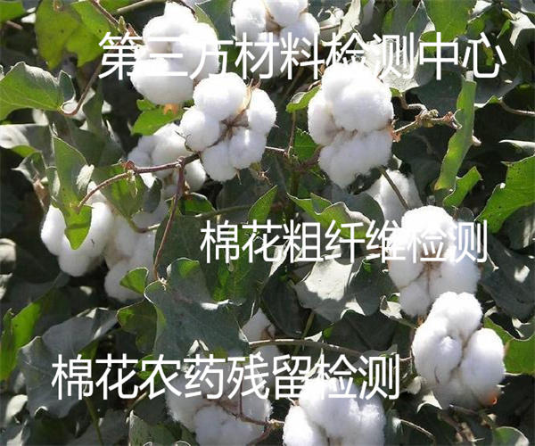 香港正版传真资料大全