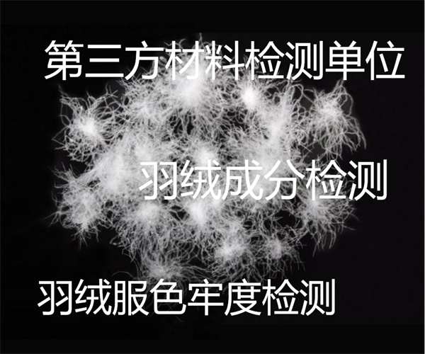 8.jpg 香港正版传真资料大全