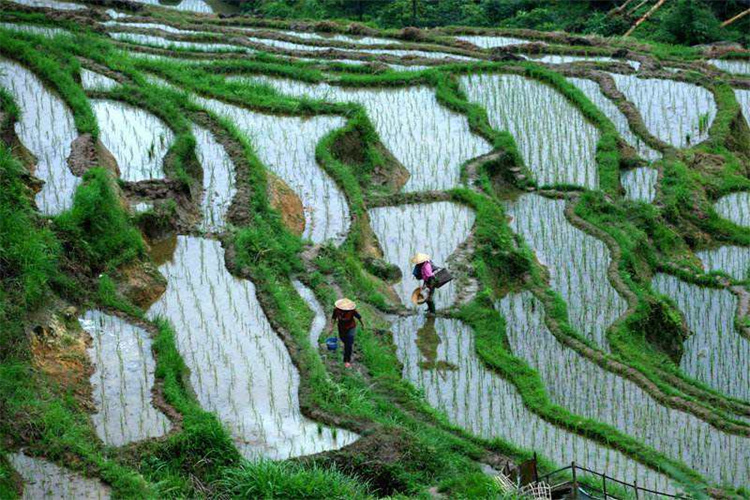 土壤常规检测,土壤八大重金属检测机构