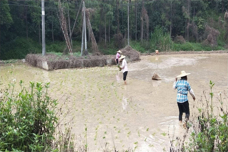 淤泥检测哪里能做,淤泥土污染指标检测机构