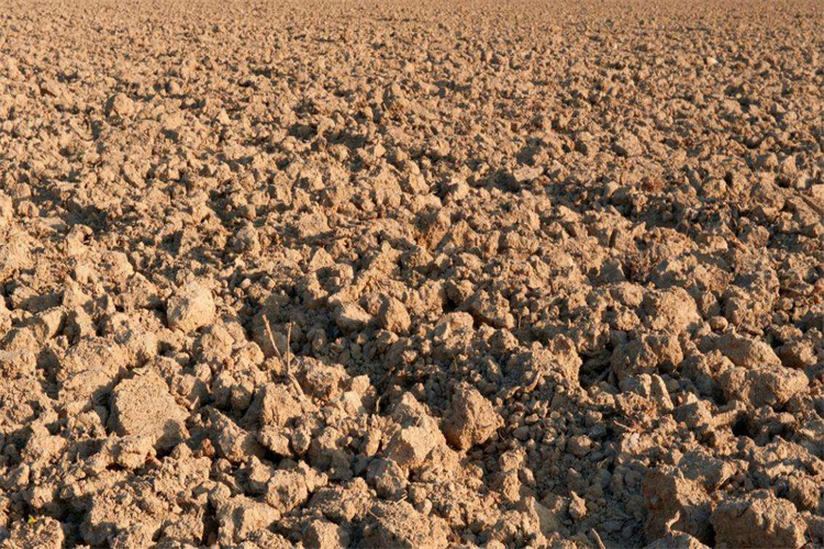 广州腐殖质常规检测,腐殖质成分检测中心