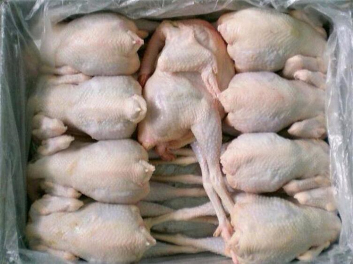 广州冷冻鸡肉检测报告,鸡肉激素检测中心