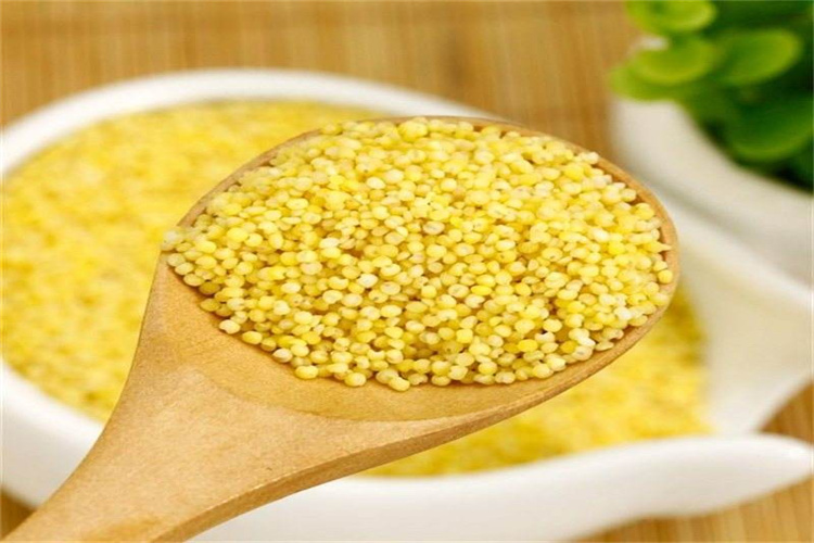 淀粉重金属检测,木薯淀粉微生物检测中心