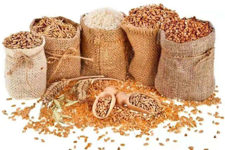 茂名橄榄油检测去哪里做,食用橄榄油重金属检测单位