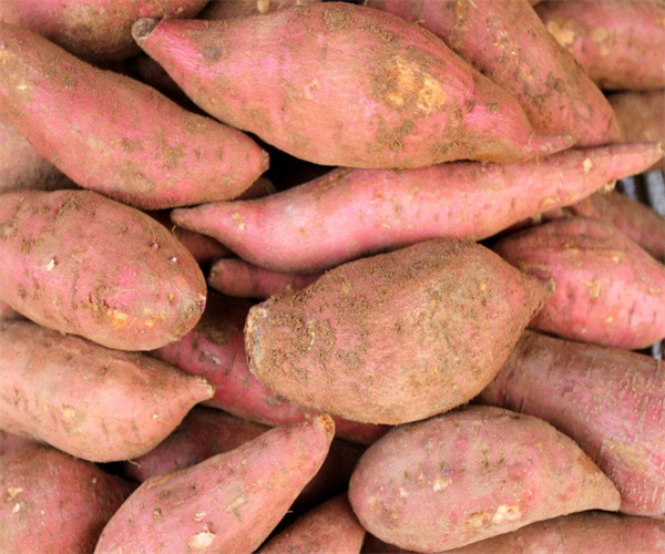 6.jpg 香港正版传真资料大全