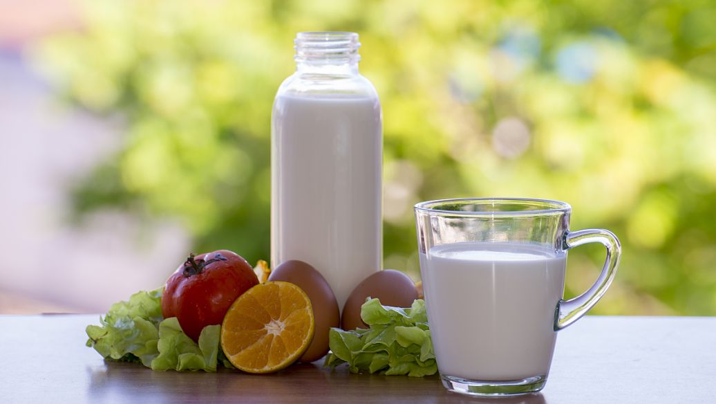 灭菌乳检测报告办理多久,灭菌乳检测标准