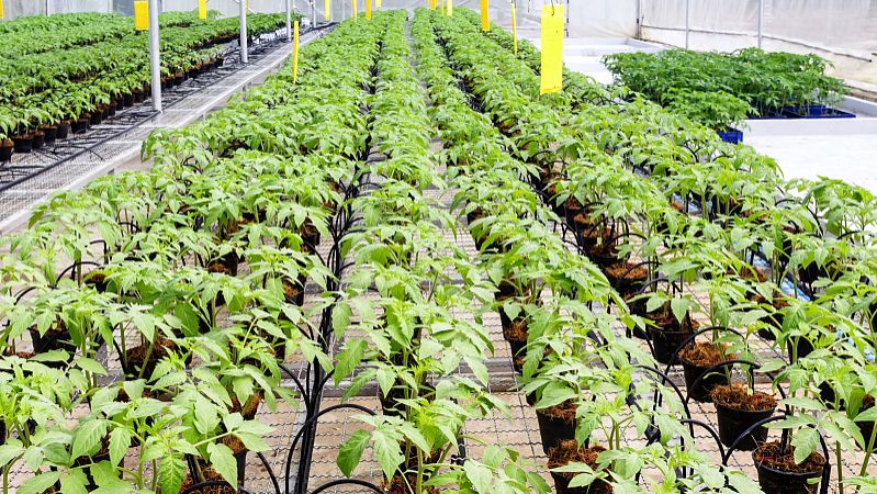 佛山怎么选择肥料检测中心？