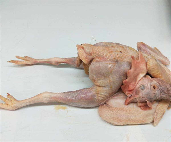 28.jpg 香港正版传真资料大全