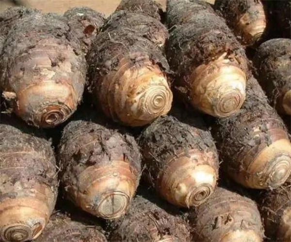 8.jpg 香港正版传真资料大全