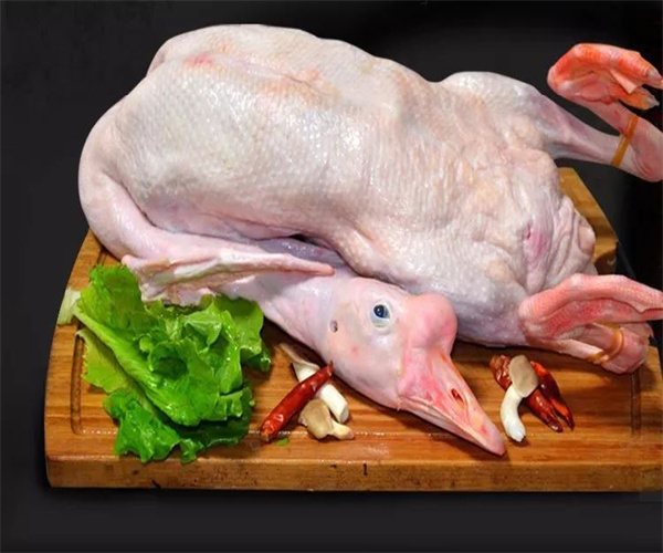 24.jpg 香港正版传真资料大全