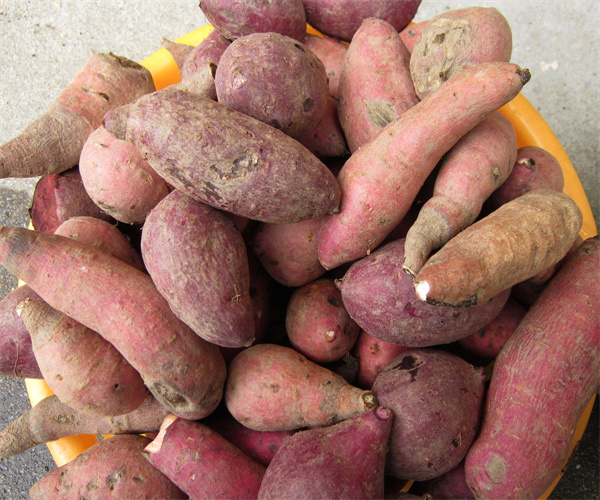 10.jpg 香港正版传真资料大全